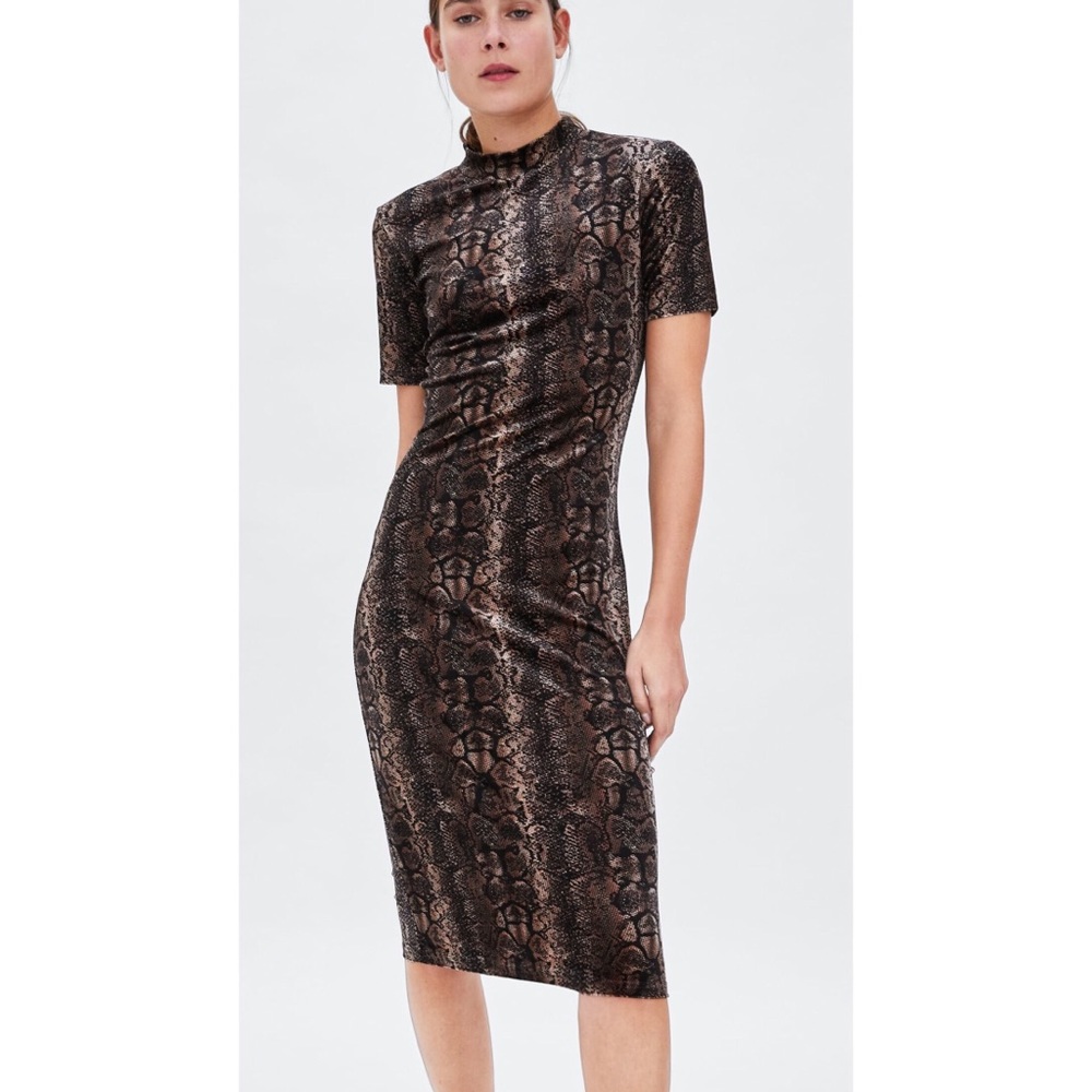 Zara snakeskin patterned velvet midi dress